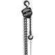 Jet 101910 S90 Series Hand Chain Hoist, 1 Ton 10' Lift