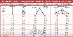 Lifting Chain 6meter x 4Leg 10mm 20ft CONTAINER CHAIN + 4 x 12.5ton Lifting Lugs