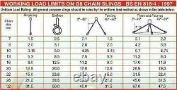 Lifting Chain Sling 3m x 2 Leg 10mm 4.25 ton