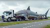 Transporting Sharks This Way Biggest Heavy Equipment Machines Agriculturetechnology